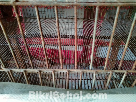 কোয়েল মুরগি কবুতরের খাচা